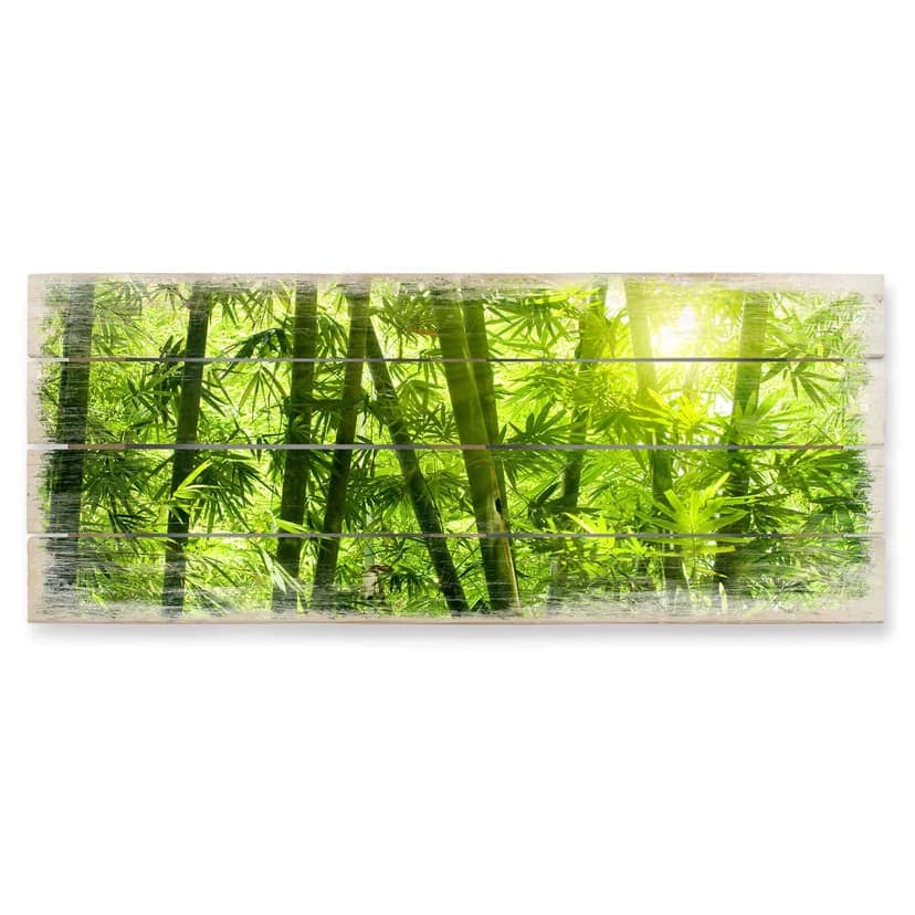 Cuadro de madera Sol en un bosque de bambú - Panorama