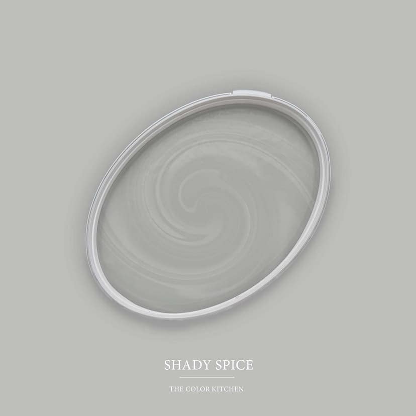 Pintura interior gris mate I Shady Spice | crear un ambiente elegante y moderno | THE COLOR KITCHEN