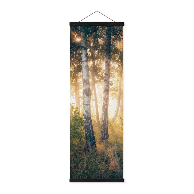 Póster de tela Sol en un bosque de abedules - Kado - Panorama