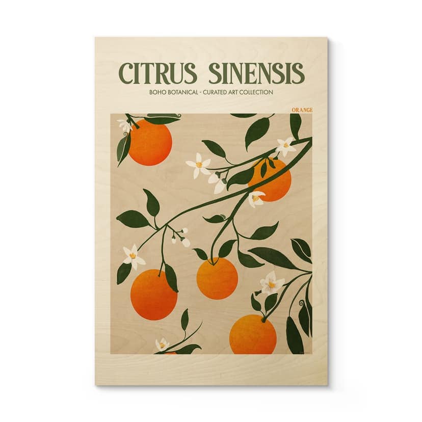 Cuadro de madera Naranjo Boho - Citrus Sinensis - Tunaboylu