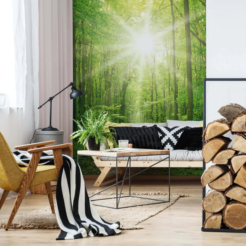 Fotomural de Sunny Forest