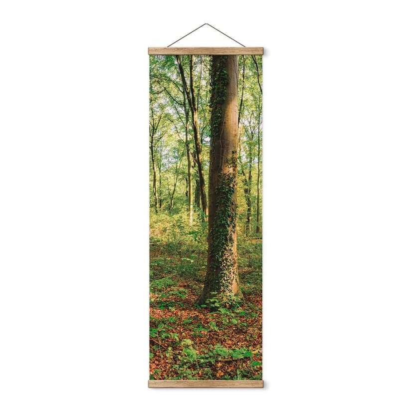 Póster de tela En lo profundo del bosque - Panorama
