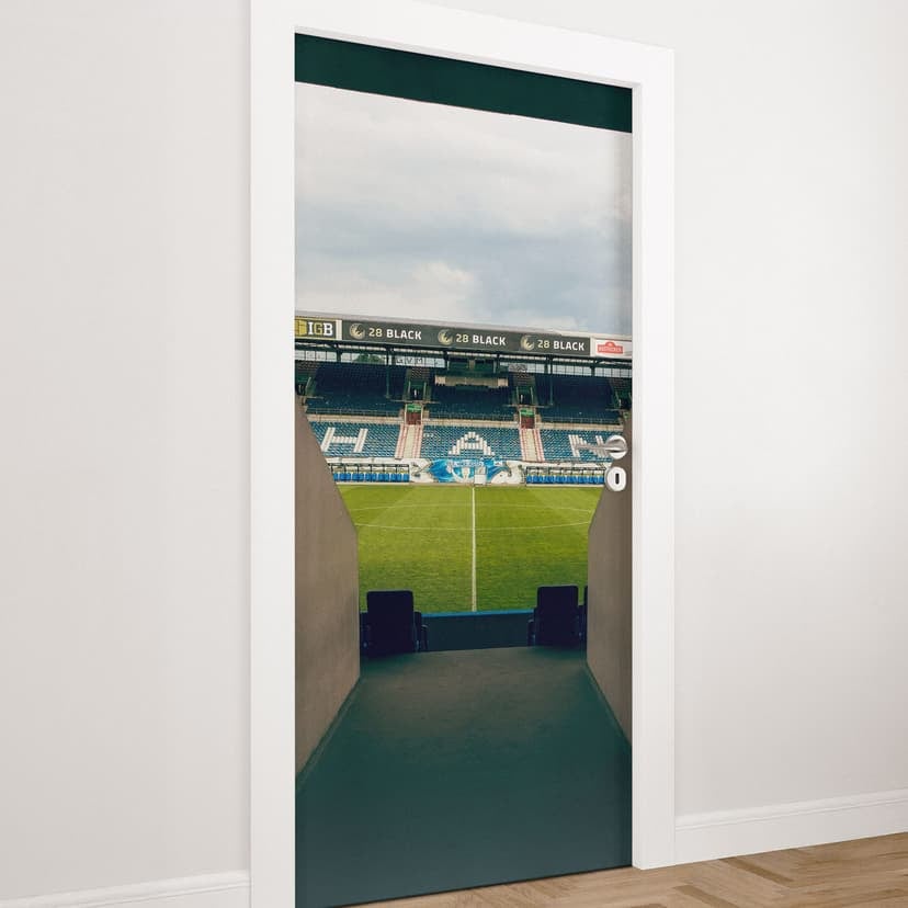 Lámina de la puerta del estadio del FC Hansa Rostock
