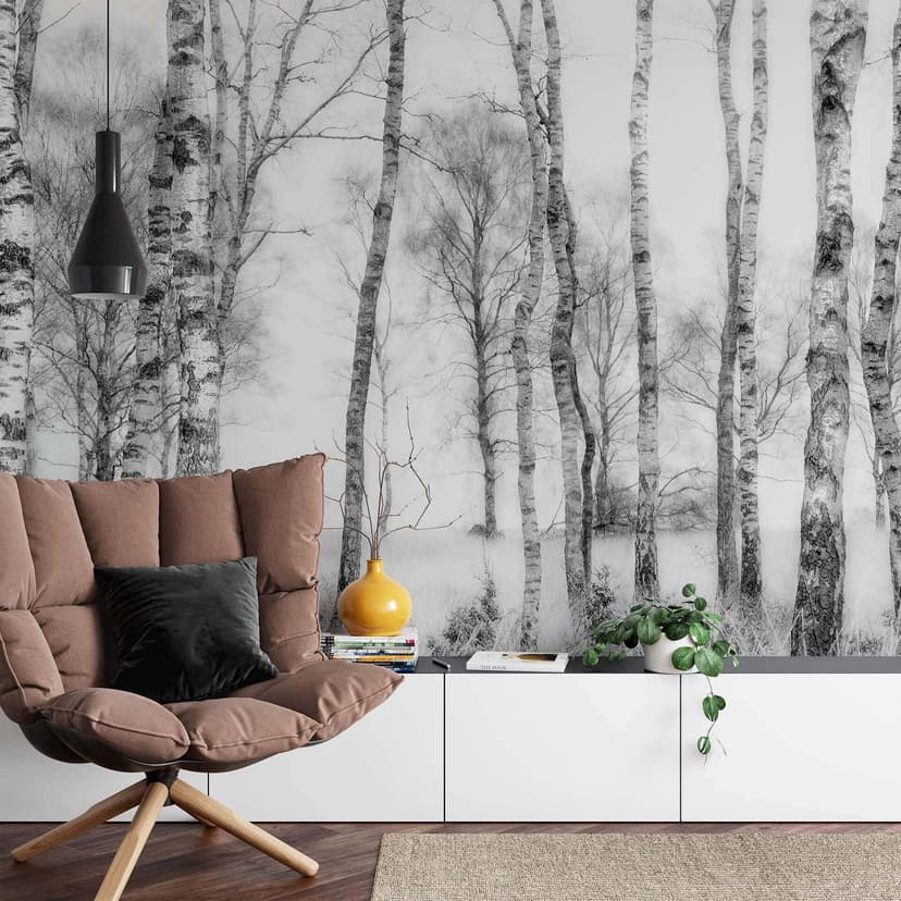Fotomural Talen - Bosque de abedules en blanco y negro - 432x260 cm