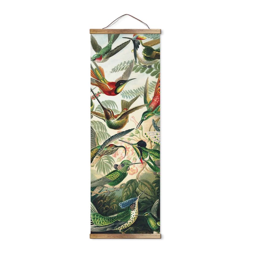 Póster de tela Haeckel - Colibríes - Panorama