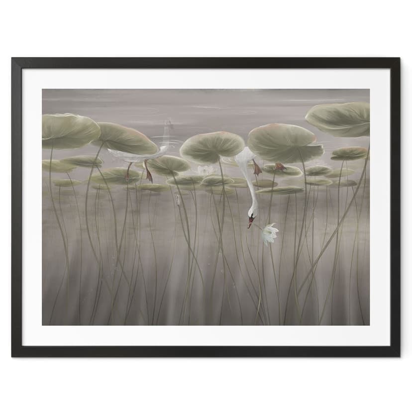 Póster flores de loto con cisne en el agua en gris - Ms Tiff