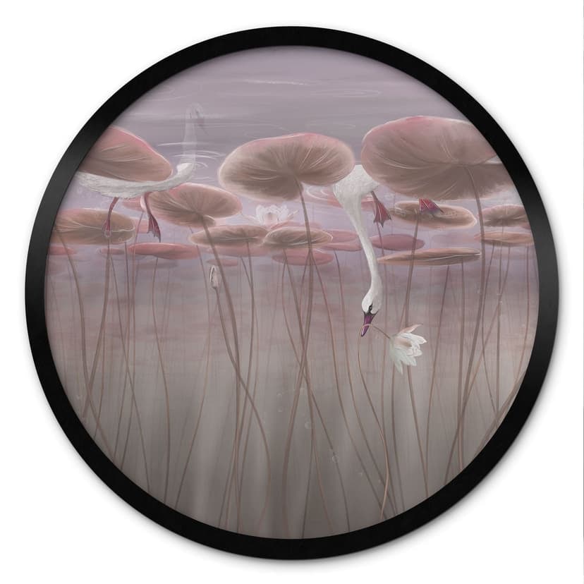 Póster flores de loto con cisne en el agua en rosa oscuro - Ms Tiff - Redondo
