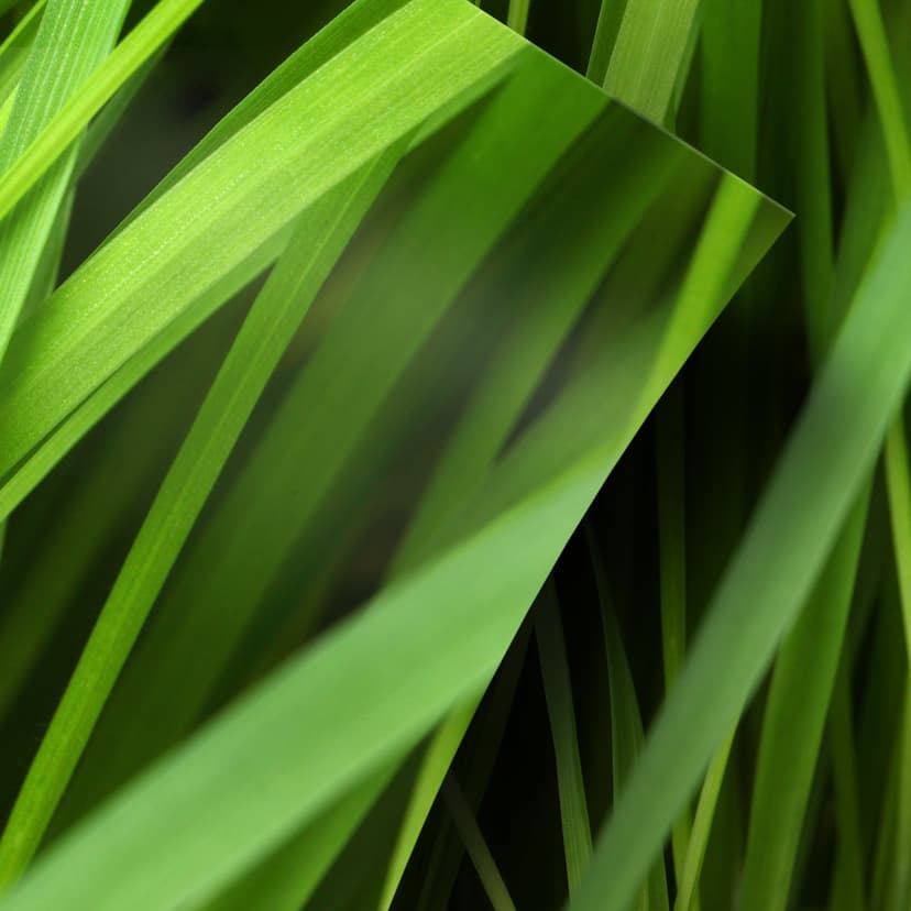 Vinilo adhesivo muebles, vinilo decorativo - lavable - Grass 02